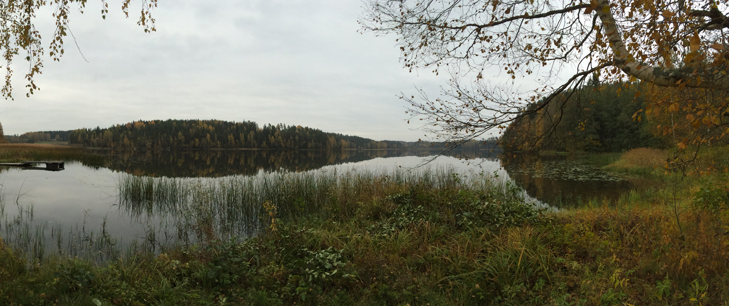 Metsäretkelle